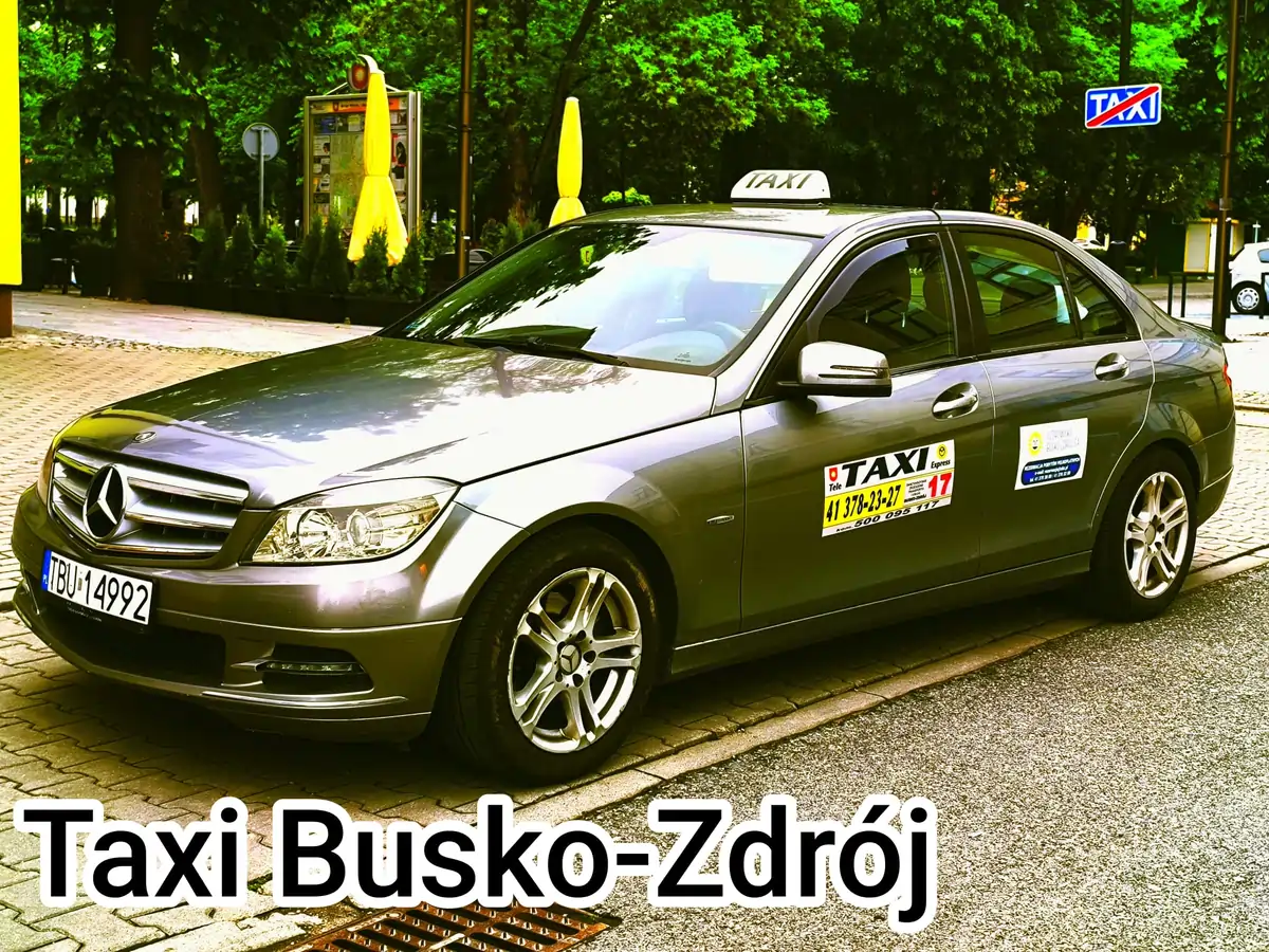 Nowoczesna taksówka Tele-Taxi Busko-Zdrój - Nienaganna Czystość